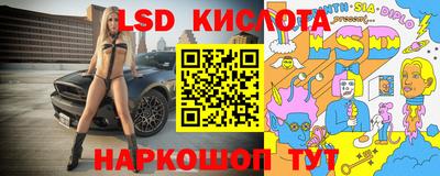 гашик Камышлов