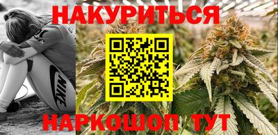 гашик Камышлов