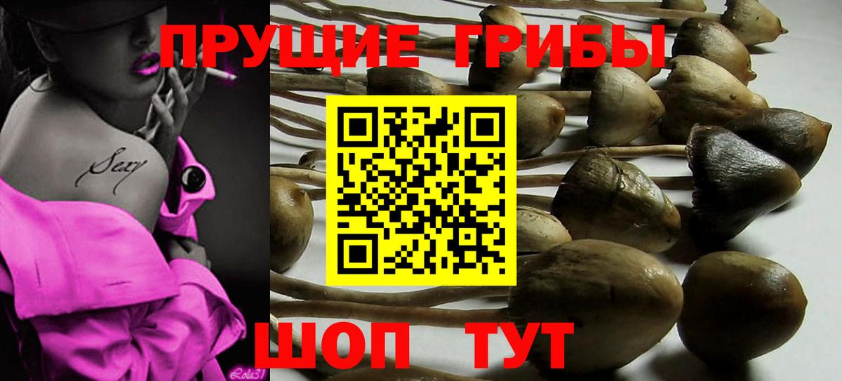 Псилоцибиновые грибы мухоморы  Вход с VPN  Чистополь  Псилоцибиновые грибы Psilocybine cubensis 